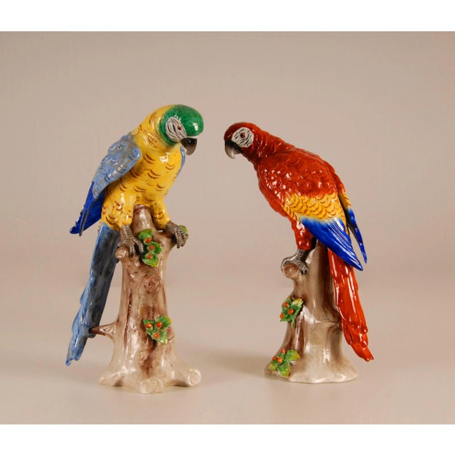 Antique Victorian Ceramic Macaw Parrots Birds German Dresden Saxe Porcelain Animal Figurine - a Pair For Sale - Image 9 of 9
