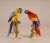 Antique Victorian Ceramic Macaw Parrots Birds German Dresden Saxe Porcelain Animal Figurine - a Pair For Sale - Image 9 of 9