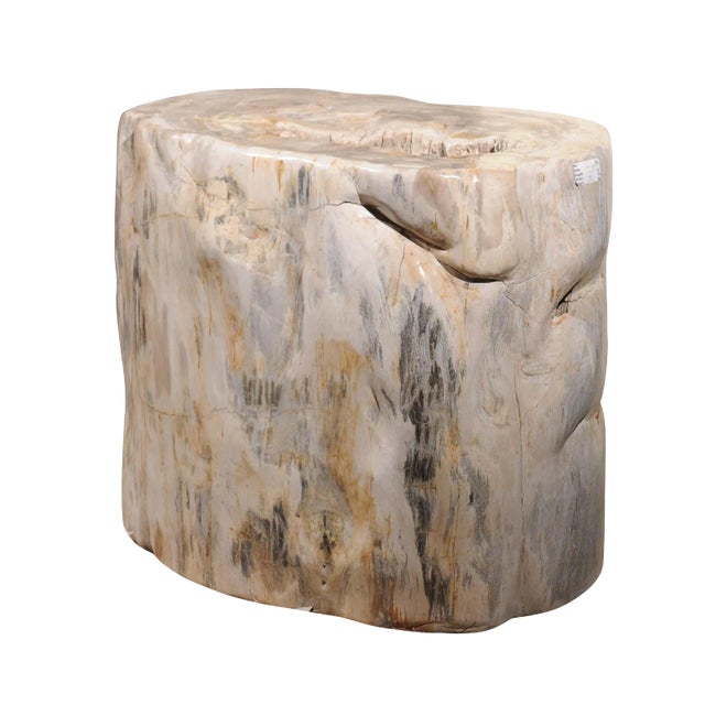 Large Petrified Wood Table Base For Sale