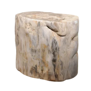 Large Petrified Wood Table Base