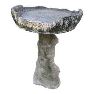 Vintage Aged Concrete Birdbath With Squirrel and Faux Bois Base