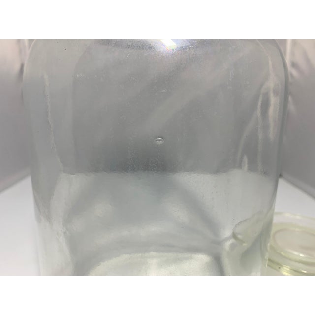 Transparent Vintage Millville Apothecary Jar: Large Glass Stopper Bottle, c. 1903-1930 For Sale - Image 8 of 10