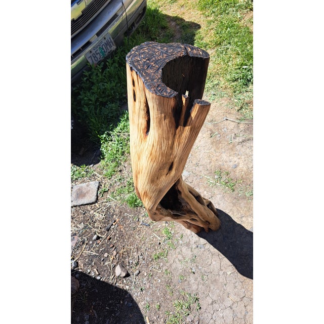 Champagne Hand Carved Wood Pedestal For Sale - Image 8 of 12