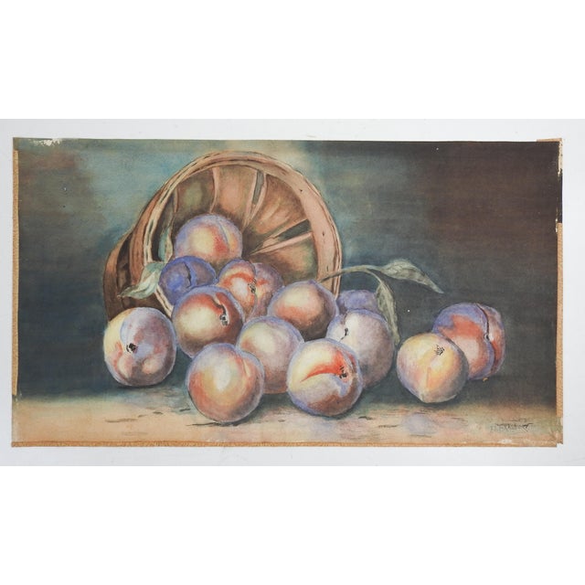 Antique Still Life Plums Peaches Watercolor Painting For Sale - Image 4 of 4
