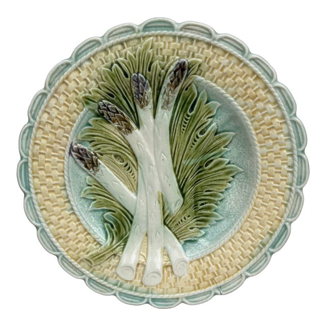 French Majolica Asparagus Plate Salins, Circa 1890 For Sale