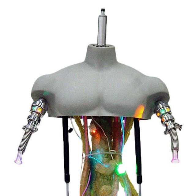 The Original Screen used “Terminator Model-101 Prototype Torso,” which was made for the 2003 Sci-Fi Action Blockbuster...