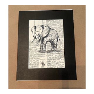 “The Gentle Giant” For Sale