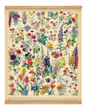 French Flowers Wall Hanging