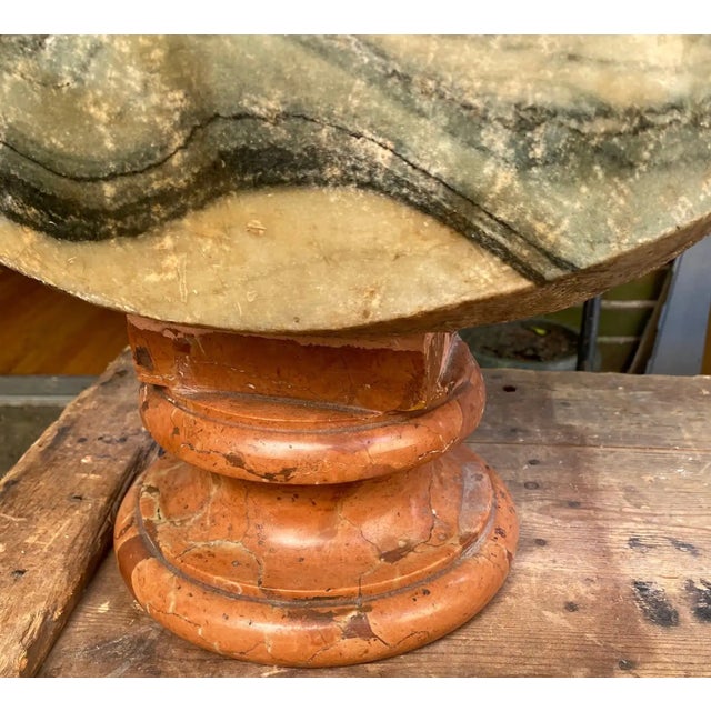 19th Century Italian Neoclassical Style Specimen Marble Busts of Caesars - Set of 2 For Sale - Image 10 of 10