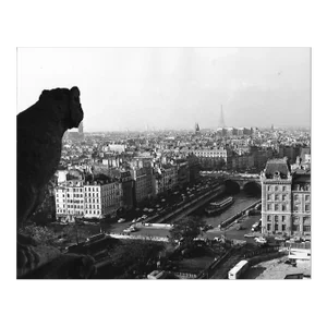 1971 View of Eiffel Tower From the Top of Notre Dame Paris Photograph by Don Ware