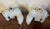 Antique 18th Century Chinese Blanc De Chine Porcelain Elephant Candlestick or Joss Stick Holders - A Pair For Sale - Image 16 of 16