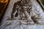 Biederlack Style Tiger Throw Blanket Very Soft 53" X 73" Reversible Vintage For Sale - Image 12 of 14