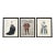 Vintage Framed Theatrical Costume Design Prints – Set of 3 For Sale