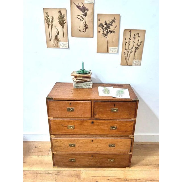 19th Century Military Campaign Chest of Drawers For Sale - Image 4 of 12