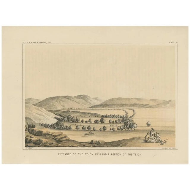 Sinclair after Koppel, The Tejon Pass Near Bakersfield and Mojave, California, 1856, Tinted Lithograph For Sale - Image 6 of 6