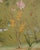 Asparagus Pair of Chelsea House Edgedale Chinoiserie Painted Silk Panels For Sale - Image 8 of 18