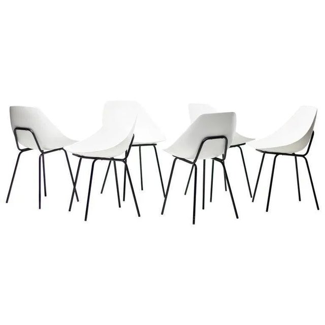Shell Chairs by Pierre Guariche, Set of 6 For Sale - Image 9 of 9