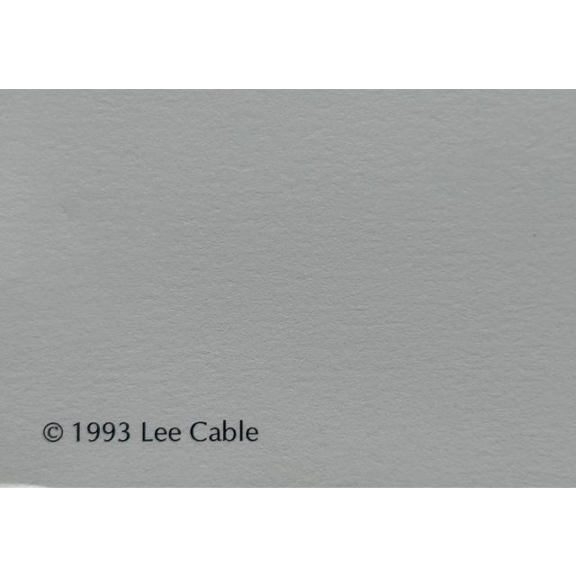 1990s His Divine Powers by Lee Cable Limited Edition S/N White Buffalo Fine Art Print For Sale - Image 5 of 7