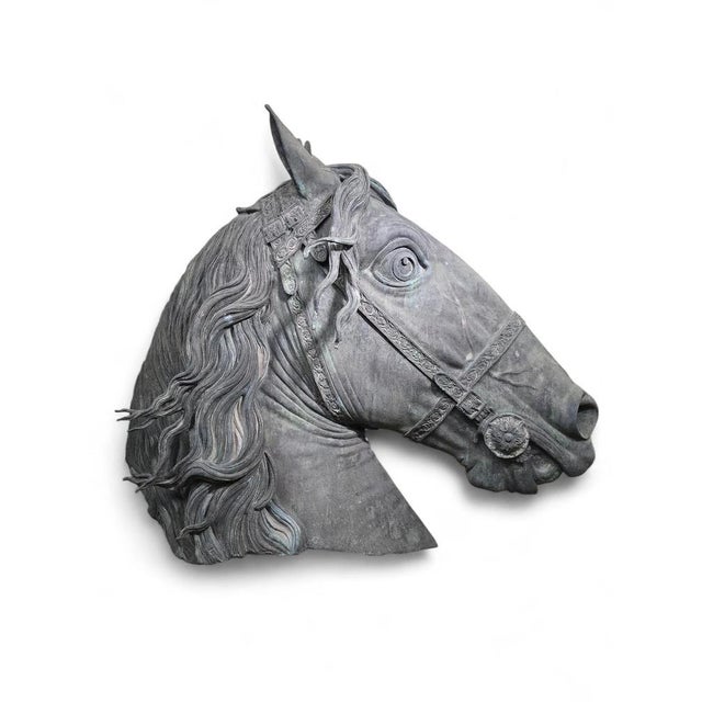 Fernando Sánchez Castillo, Horse Head, 2004, Bronze For Sale - Image 11 of 15