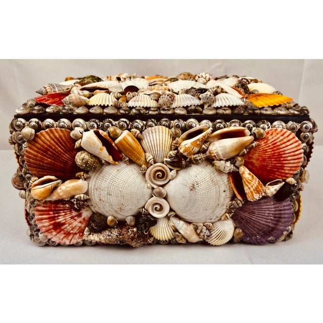 1990s Large Multi Colored Natural Sea Shell Covered Box-Hinged For Sale - Image 5 of 10