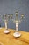 Victorian Brass & Marble Candelabras For Sale - Image 4 of 9