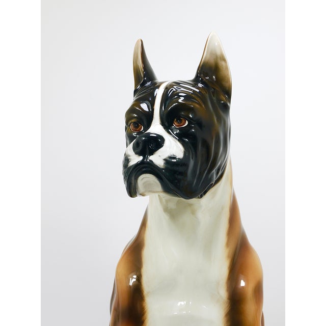 1970s Boxer Dog Life-Size Majolica Statue Sculpture in Glazed Ceramic, Italy, 1970s For Sale - Image 5 of 18
