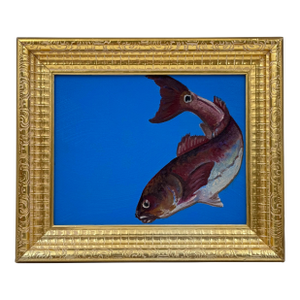 Original Contemporary Fish Oil Painting on Canvas, Signed, Framed