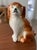 This vintage pup was created by Sadler China in Burslem, England. Also called Wally Dogs, these Staffordshire Spaniels...