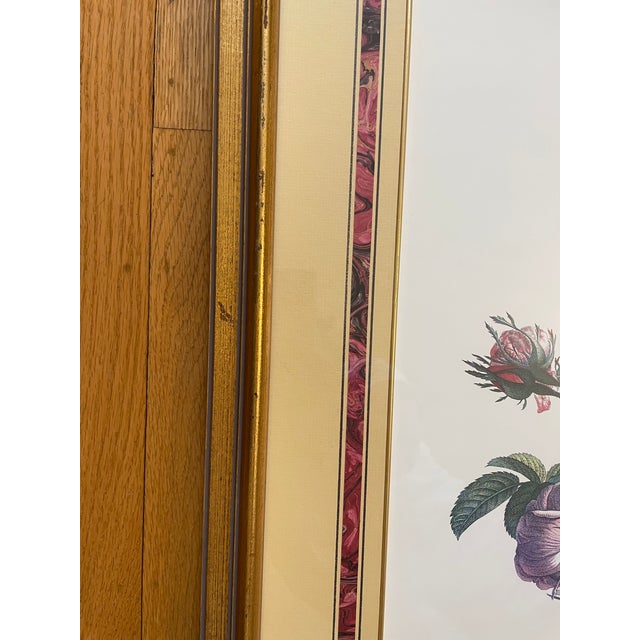 Rose Botanical Print - Custom Framed French "Rose and Lily" Floral Art by Jean Louis Prevost For Sale - Image 8 of 10