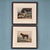 Dogs elegant victorian chromolithographs (color lithographs) taken from the illustrated book of the dog by vero shaw...