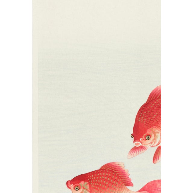 Japanese Two Veil Goldfish (Ohara Koson, 1926), Vintage Art Print Reproduction, 24″ × 36″ For Sale - Image 3 of 7