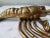 Vintage Solid Brass Crustacean Lobster Paper Weight Coastal Décor For Sale - Image 10 of 12