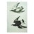 1966 Vintage Cottage Print After John James Audubon, "Surfbirds" For Sale