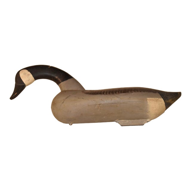 1930's Havre De Grace Canadian Goose Decoy For Sale