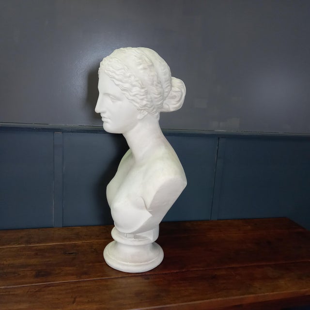 Large Nude Bust of Venus, 1950s For Sale - Image 10 of 15