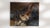 Early 20th Century France Brown Canvas Painting For Sale - Image 9 of 15