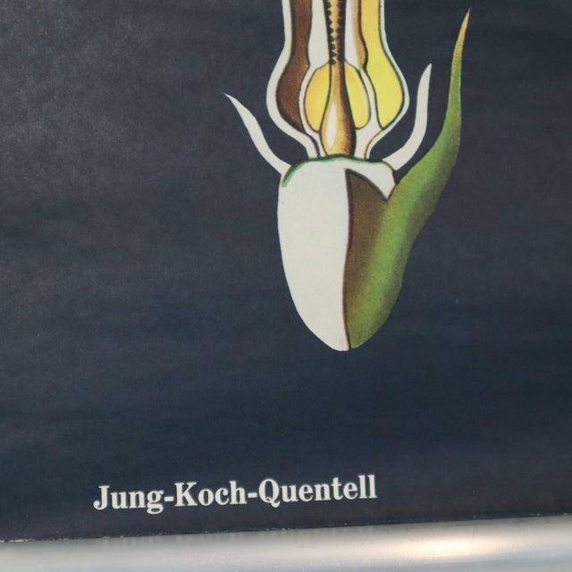 Black Large Vintage Sunflower School Chart by Jung Koch Quentell, 1973 For Sale - Image 8 of 13