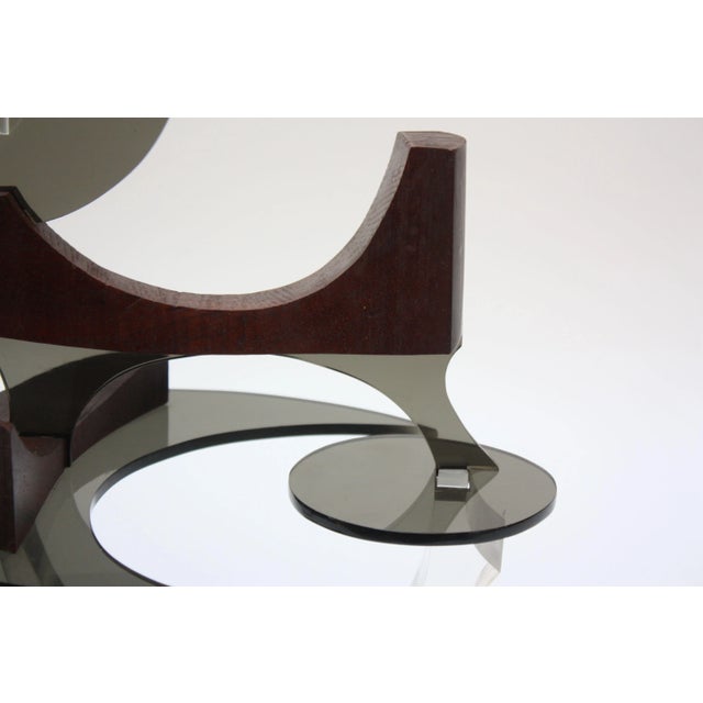 Gray Vintage Acrylic and Teak Abstract Cat Sculpture by Robert D. Harvey For Sale - Image 8 of 13