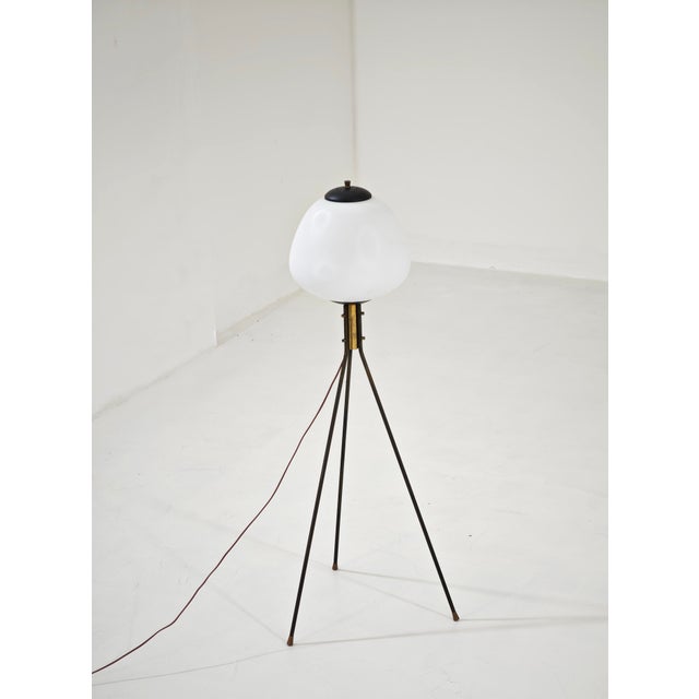 A stunning Stilnovo-style tripod floor lamp dating back to the 1950s and 1960s. This piece represents a classic of Italian...