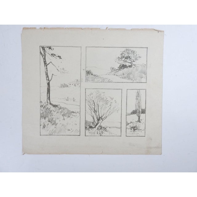 1920's mixed media watercolor on tan paper painting of lone tree, pencil math notation student piece. Art lesson prints on...