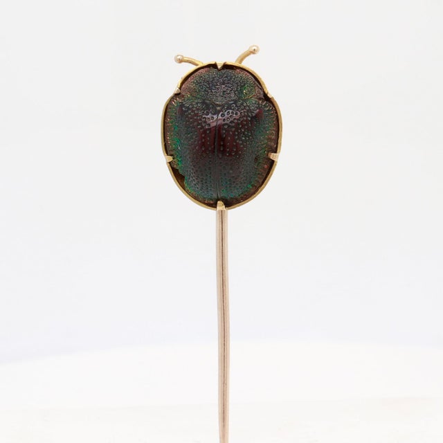 Etruscan Revival Antique 14k Gold & Real Scarab Beetle Etruscan Revival Style Stick Pin For Sale - Image 3 of 11