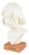 Plaster Bust of a Young Girl, Scandinavia, Mid-20th Century For Sale