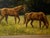 Sandra Severson Oil Painting at Meadow's Edge 1987. Sandra Severson American, 20th Century Oil Painting on Canvas Panel Signed to Lower Right For Sale - Image 6 of 12