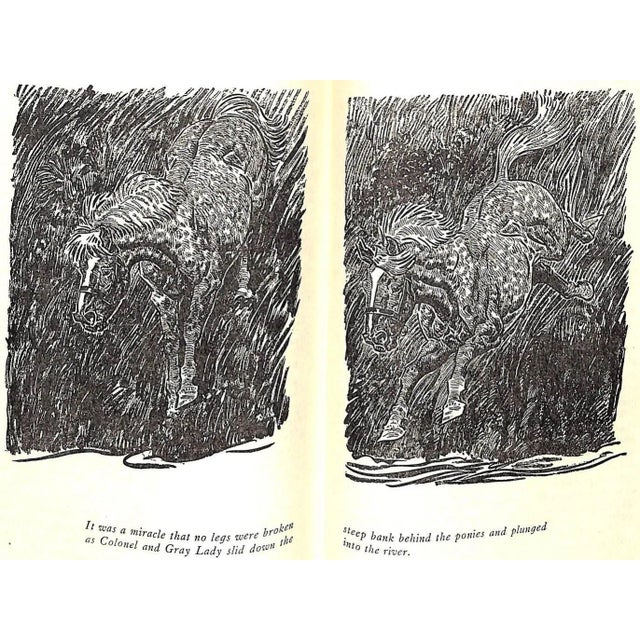 White "King of the Stallion" Book 1947 Tracy, Edward B. For Sale - Image 8 of 9