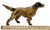 This Really is a Great Looking - Large Size Vintage Cast Iron Figurative Setter - Hunting Dog Doorstop. Circa 1930s. It...