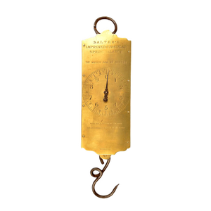 Salter's Hanging Scale