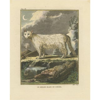 After Buffon, The White Fox of Canada Arctic Wildlife, Engraving, 1801 For Sale