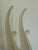 Late 20th Century Pair of Austin Sculpture Frosted Art Glass Swans – Mid-Century Modern Sculptural Birds For Sale In New York - Image 6 of 8
