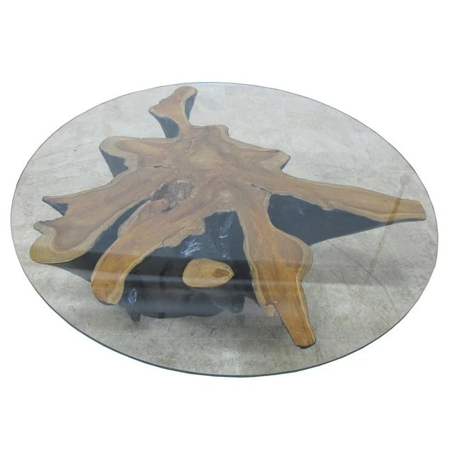 Organic Modern Star Teak Root Coffee Table For Sale - Image 10 of 10