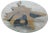Organic Modern Star Teak Root Coffee Table For Sale - Image 10 of 10